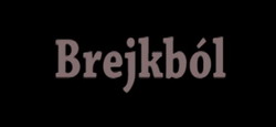 Brejkból - název